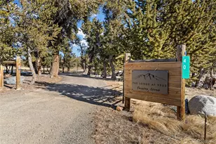 40 Thurber Ct, Fairplay, CO 80440 - Photo 45