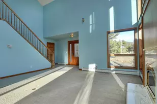 31219 Northwoods Circle, Buena Vista, CO 81211 - Photo 9