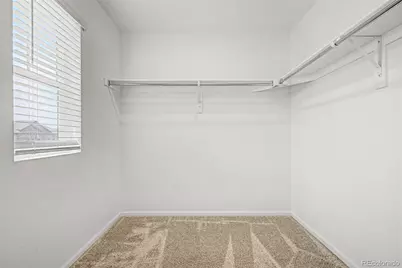 11441 Booth Falls Court, Parker, CO 80134 - Photo 17