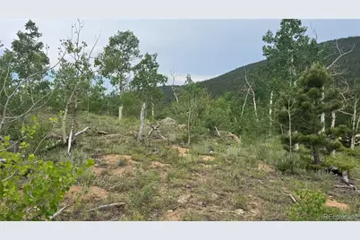 007 Virginia Canyon Road, Central City, CO 80427 - Photo 15