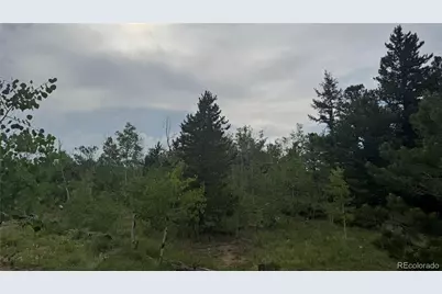 007 Virginia Canyon Road, Central City, CO 80427 - Photo 5