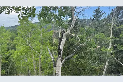 007 Virginia Canyon Road, Central City, CO 80427 - Photo 9