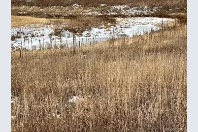 10555 Big Sky Trail, Elbert, CO 80106 - Photo 7