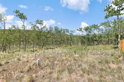 108 Sheep Ridge Road, Fairplay, CO 80440 - Photo 37