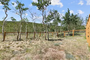 108 Sheep Ridge Rd, Fairplay, CO 80440 - Photo 29