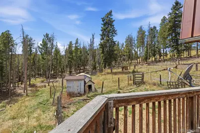 8367 S Warhawk Way, Conifer, CO 80433 - Photo 29