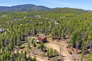 8367 S Warhawk Way, Conifer, CO 80433 - Photo 31
