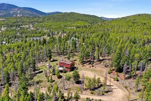 8367 S Warhawk Way, Conifer, CO 80433 - Photo 35