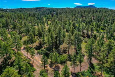 Kinnikinnik Drive, Larkspur, CO 80118 - Photo 5