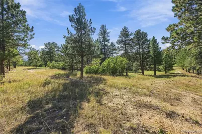 Kinnikinnik Drive, Larkspur, CO 80118 - Photo 3