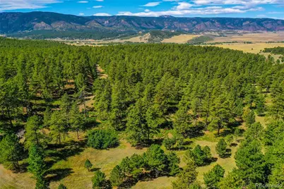 Kinnikinnik Drive, Larkspur, CO 80118 - Photo 11