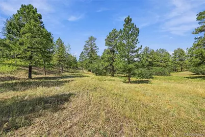 Kinnikinnik Drive, Larkspur, CO 80118 - Photo 1