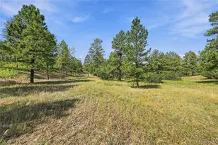 Kinnikinnik Dr, Larkspur, CO 80118 - Photo 1