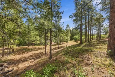 Kinnikinnik Drive, Larkspur, CO 80118 - Photo 15