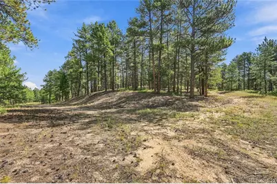 Kinnikinnik Drive, Larkspur, CO 80118 - Photo 17