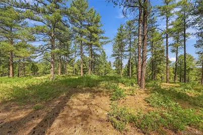 Kinnikinnik Drive, Larkspur, CO 80118 - Photo 19