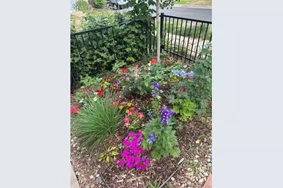 377 Pearl Street #5, Boulder, CO 80302 - Photo 5