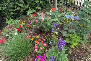 377 Pearl St, Boulder, CO 80302 - Photo 5