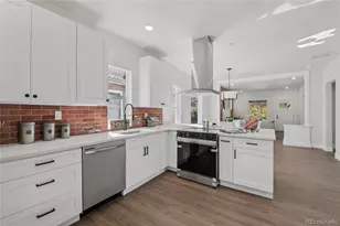 2342 Dexter St, Denver, CO 80207 - Photo 13