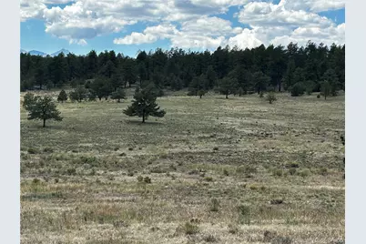 525 County Road 321, Westcliffe, CO 81252 - Photo 7