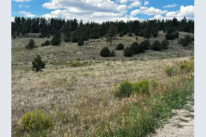 525 County Road 321, Westcliffe, CO 81252 - Photo 5