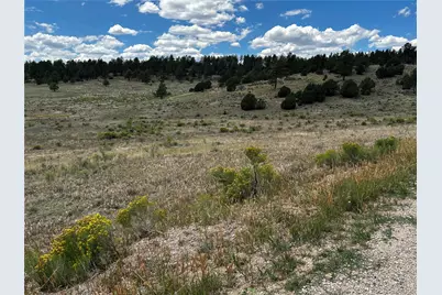 525 County Road 321, Westcliffe, CO 81252 - Photo 11