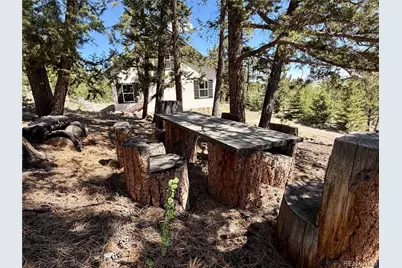 837 Concho Trail, Hartsel, CO 80449 - Photo 45