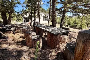 837 Concho Trail, Hartsel, CO 80449 - Photo 45