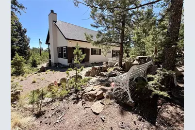 837 Concho Trail, Hartsel, CO 80449 - Photo 39