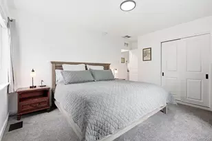 2815 S Glencoe St, Denver, CO 80222 - Photo 21