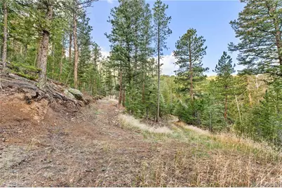 8477 Drew Hill Road, Golden, CO 80403 - Photo 37