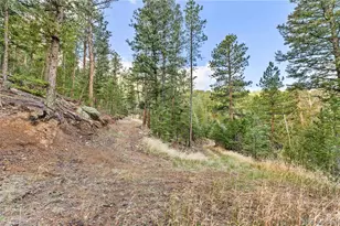 8477 Drew Hill Rd, Golden, CO 80403 - Photo 37