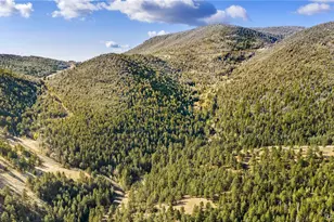 8477 Drew Hill Rd, Golden, CO 80403 - Photo 45