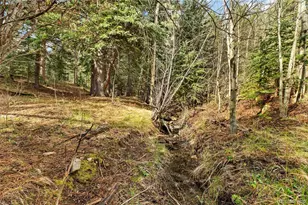 8477 Drew Hill Rd, Golden, CO 80403 - Photo 39