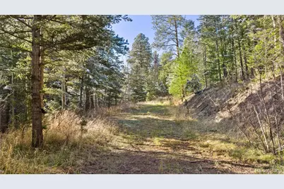 8477 Drew Hill Road, Golden, CO 80403 - Photo 43
