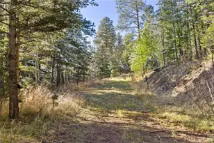 8477 Drew Hill Rd, Golden, CO 80403 - Photo 43