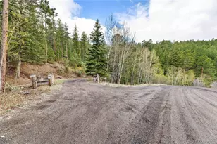 8477 Drew Hill Rd, Golden, CO 80403 - Photo 41