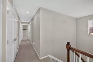 3810 Cadence Dr, Castle Rock, CO 80109 - Photo 27