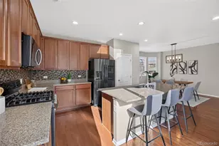 3810 Cadence Dr, Castle Rock, CO 80109 - Photo 19