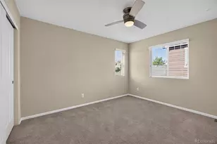 3810 Cadence Dr, Castle Rock, CO 80109 - Photo 31