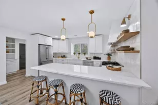 3005 S Race St, Denver, CO 80210 - Photo 9