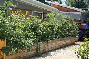 6175 Dover St, Arvada, CO 80004 - Photo 33