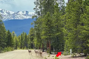 201 Snowshoe Rabbit Dr, Leadville, CO 80461 - Photo 1