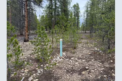 201 Snowshoe Rabbit Drive, Leadville, CO 80461 - Photo 11
