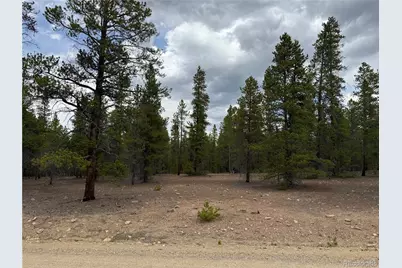 201 Snowshoe Rabbit Drive, Leadville, CO 80461 - Photo 13