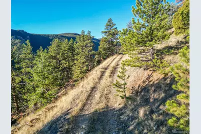 745 Nugget Hill Road, Jamestown, CO 80031 - Photo 7