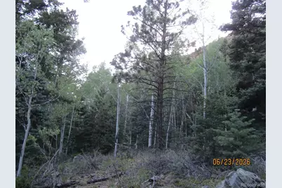 Lot 6029 Spruce Road, San Luis, CO 81152 - Photo 33