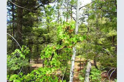 Lot 6029 Spruce Road, San Luis, CO 81152 - Photo 23