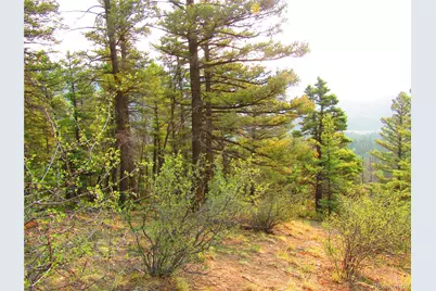 Lot 6029 Spruce Road, San Luis, CO 81152 - Photo 31