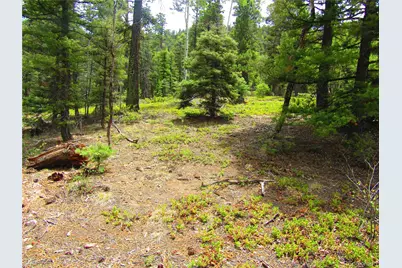 Lot 6029 Spruce Road, San Luis, CO 81152 - Photo 17